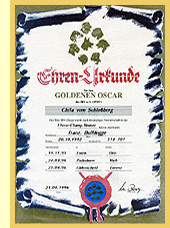 Ehrenurkunde Französische Bulldogge