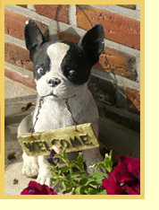 Französische Bulldoggen vom Ratheimer Busch - Heinsberg, Aachen, Düsseldorf, Niederrhein, Nordrhein-Westfalen - Welpenkauf, Vermittlung, Beratung