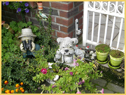 Französische Bulldoggenwelpen Zucht Vermittlung Service Heinsberg Aachen Düsseldorf NRW