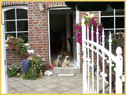 Birgits Bullys - Französische Bulldoggen vom Ratheimer Busch, Heinsberg